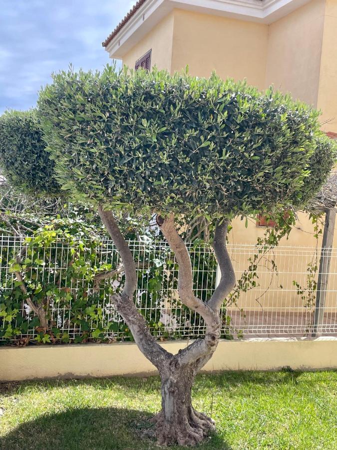 Los Alamos Somhome Peñíscola Eksteriør bilde